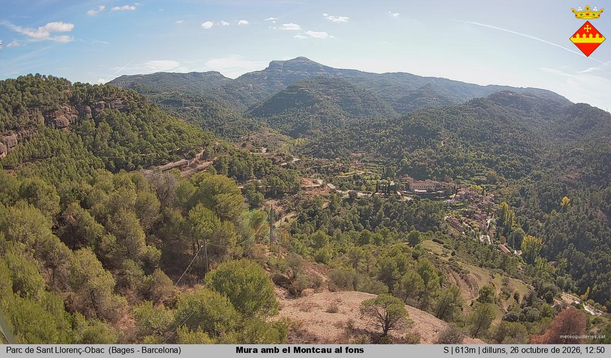 Mura amb el Montcau al fons