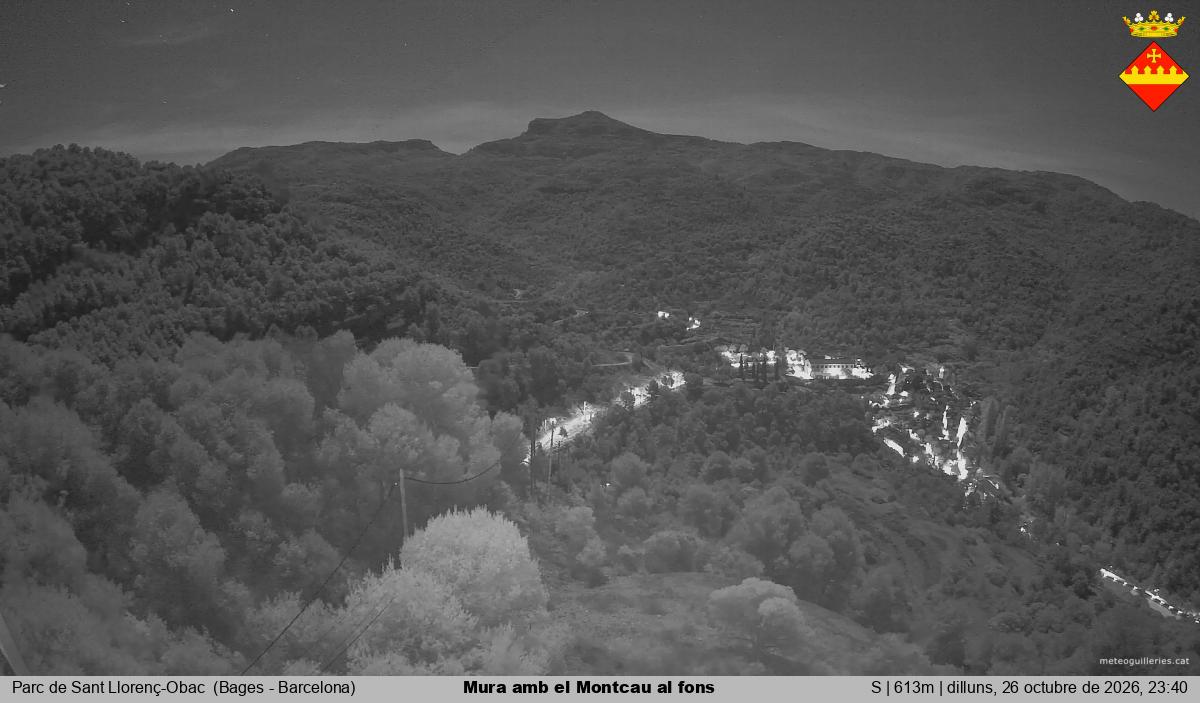 Mura amb el Montcau al fons