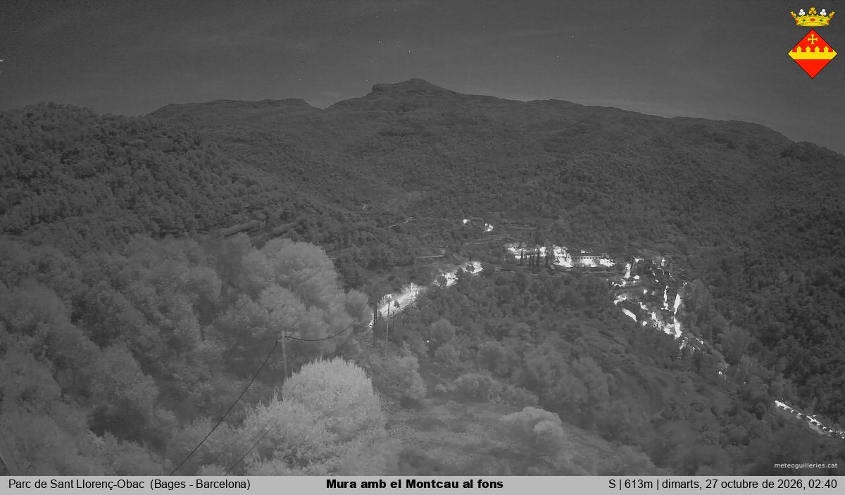 Mura amb el Montcau al fons