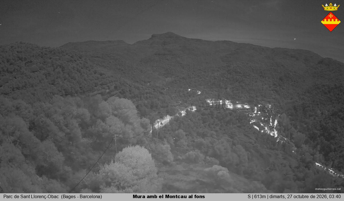 Mura amb el Montcau al fons