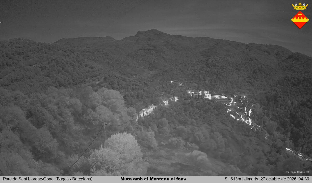 Mura amb el Montcau al fons