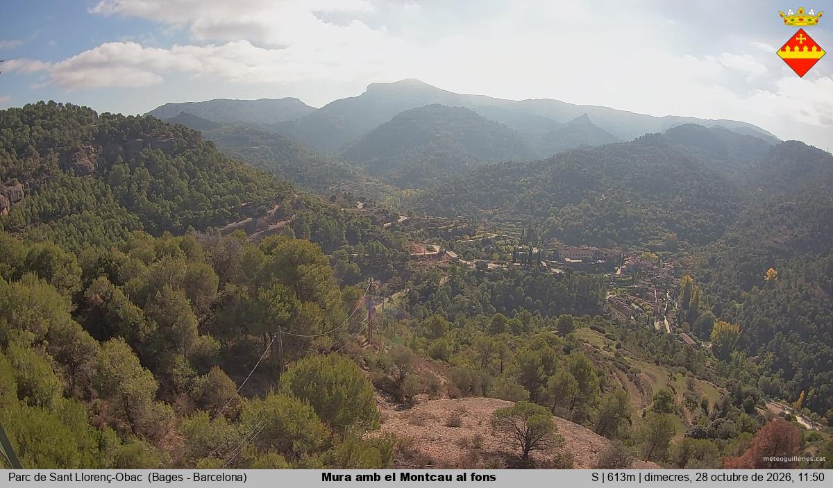 Mura amb el Montcau al fons