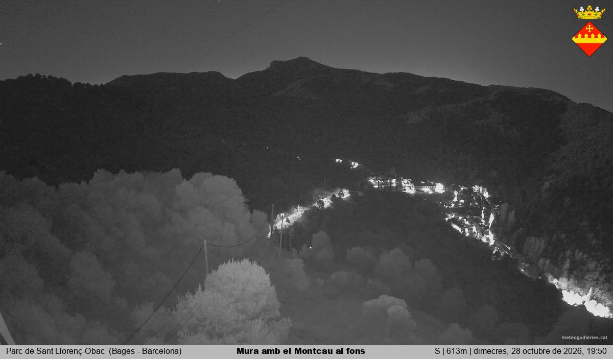 Mura amb el Montcau al fons