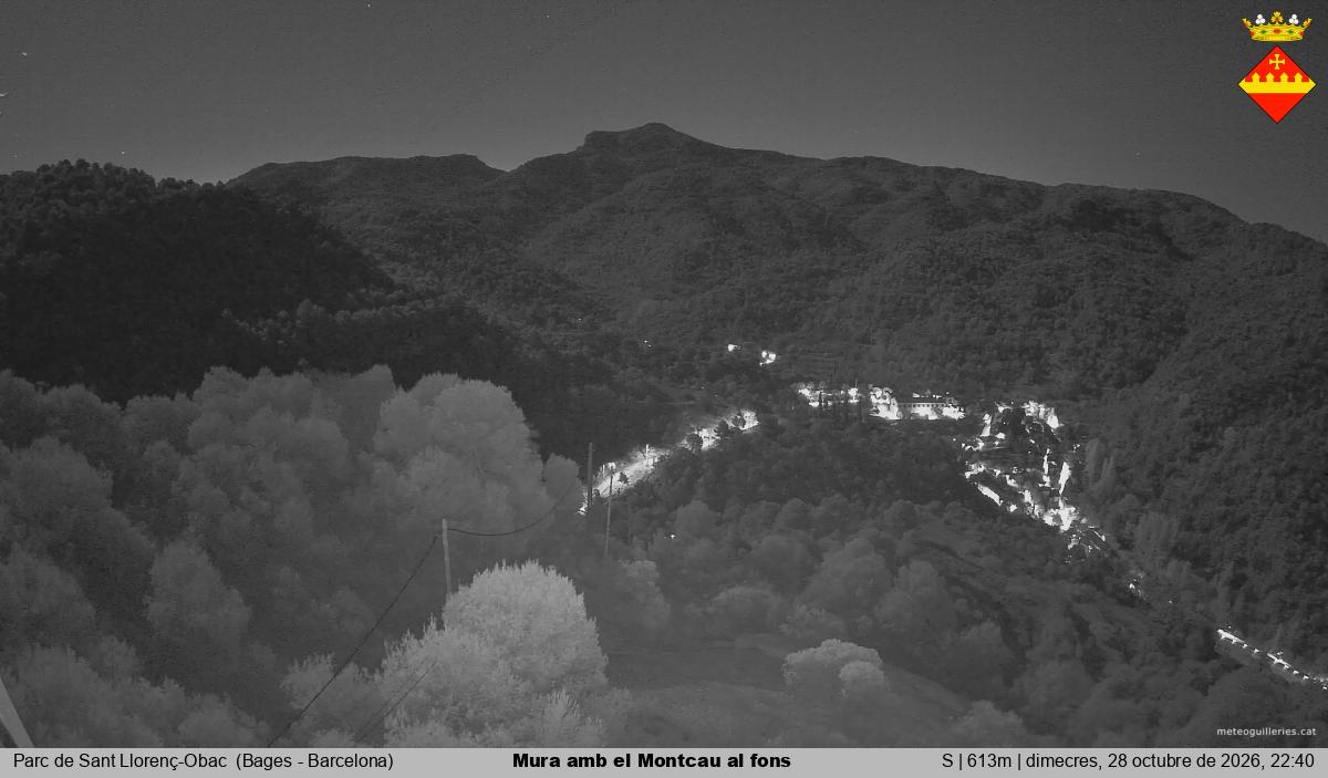 Mura amb el Montcau al fons