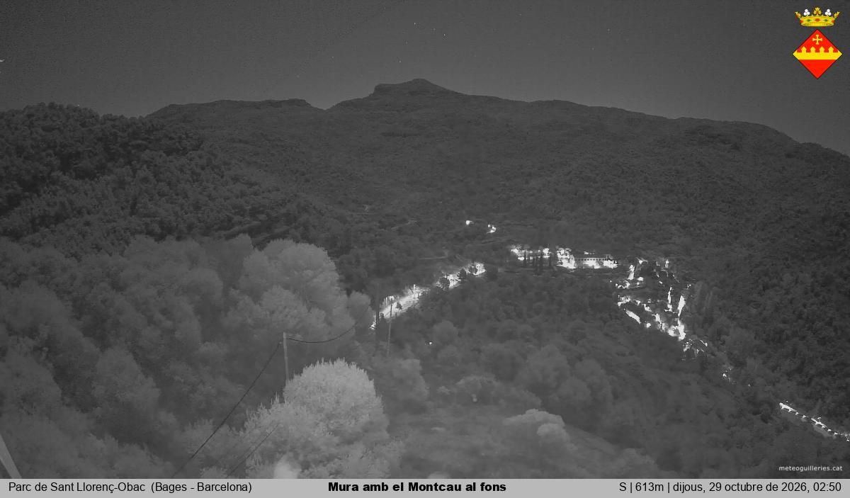 Mura amb el Montcau al fons