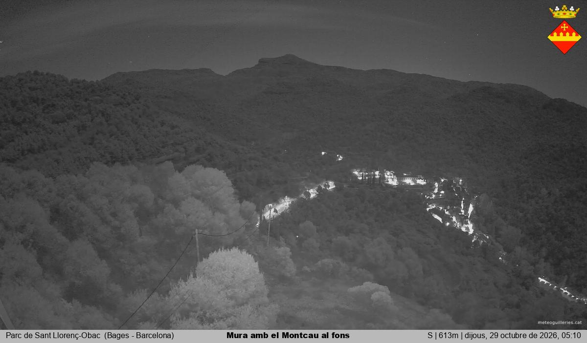 Mura amb el Montcau al fons