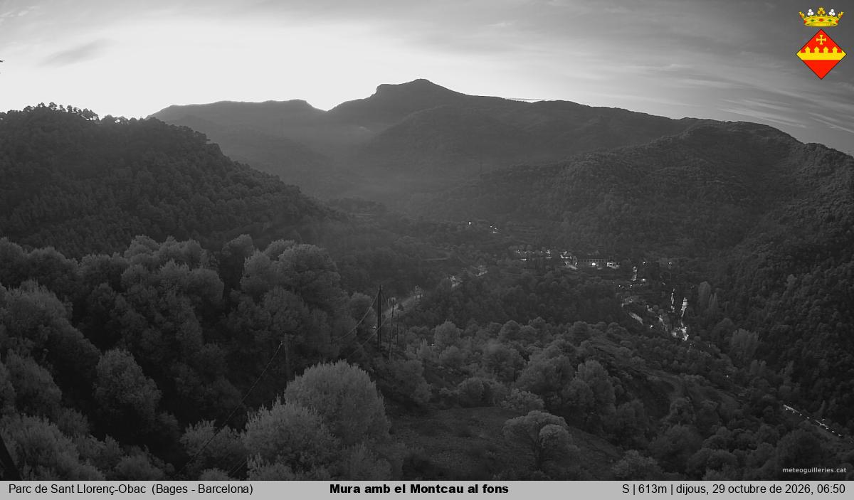 Mura amb el Montcau al fons