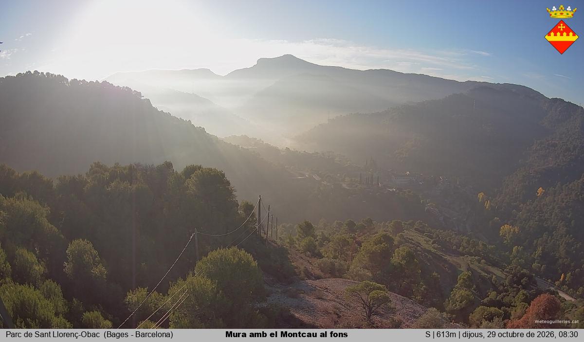 Mura amb el Montcau al fons
