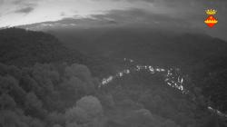 Webcams