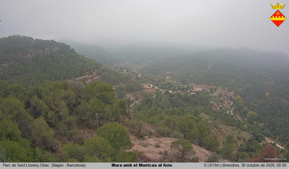 Mura amb el Montcau al fons