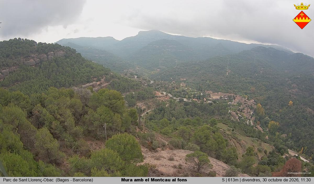 Mura amb el Montcau al fons