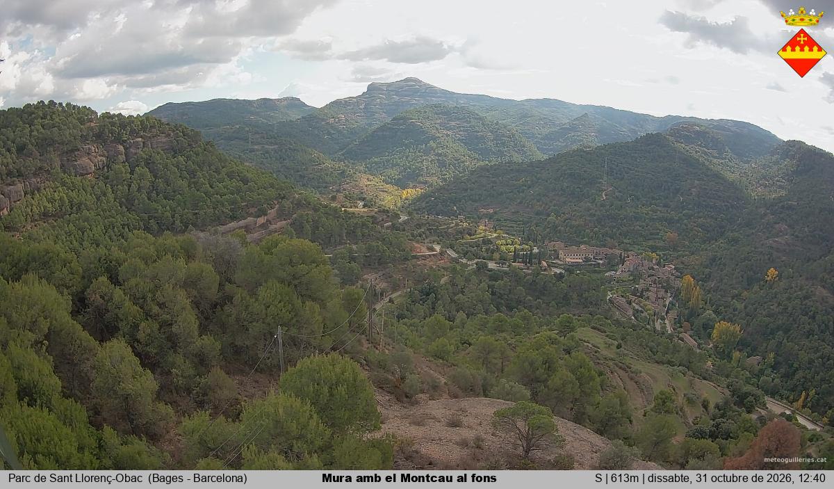 Mura amb el Montcau al fons