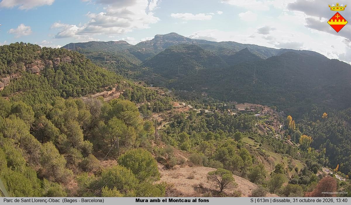 Mura amb el Montcau al fons