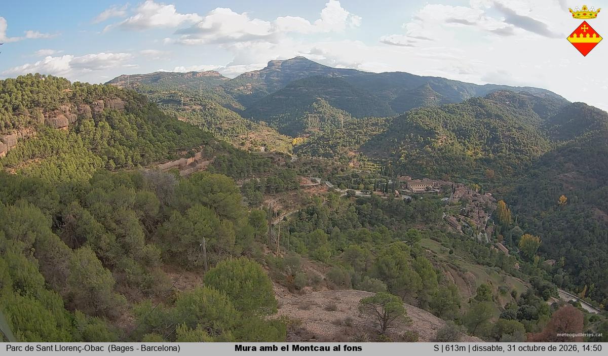 Mura amb el Montcau al fons