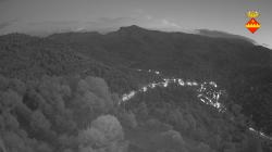 Webcams