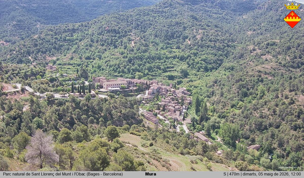 Mura 