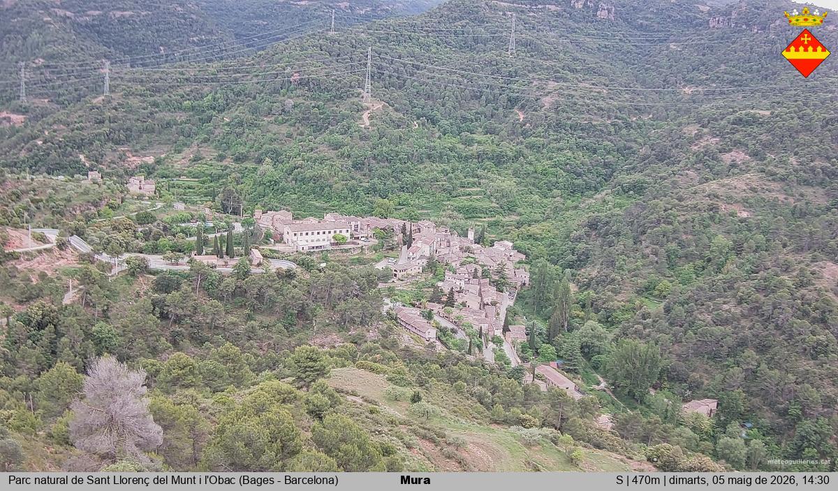 Mura 