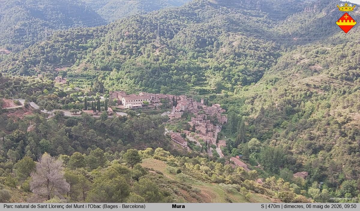 Mura 