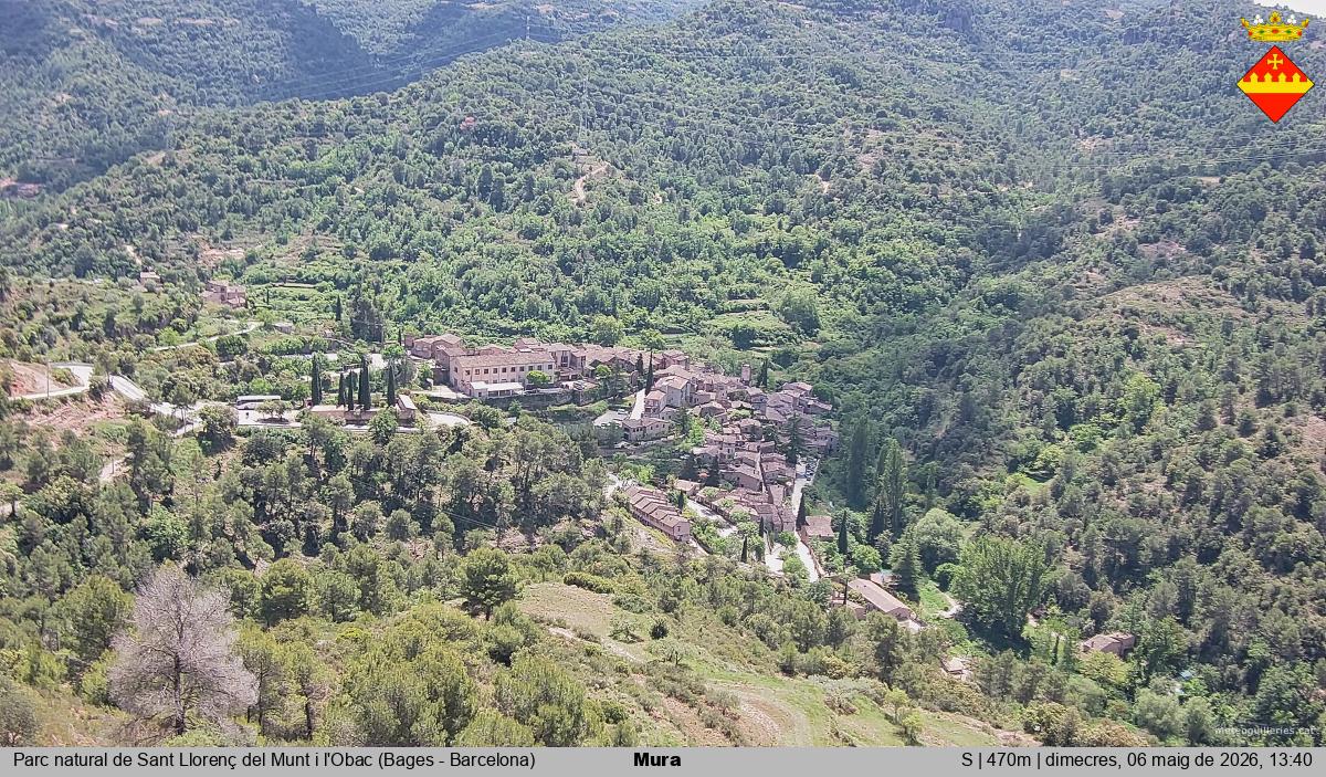 Mura 