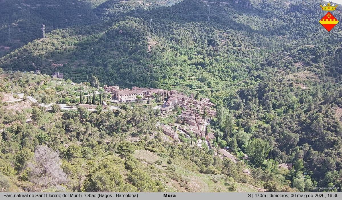 Mura 