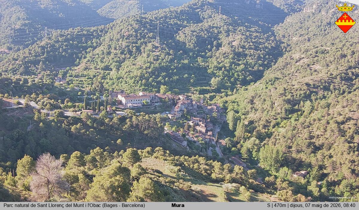 Mura 