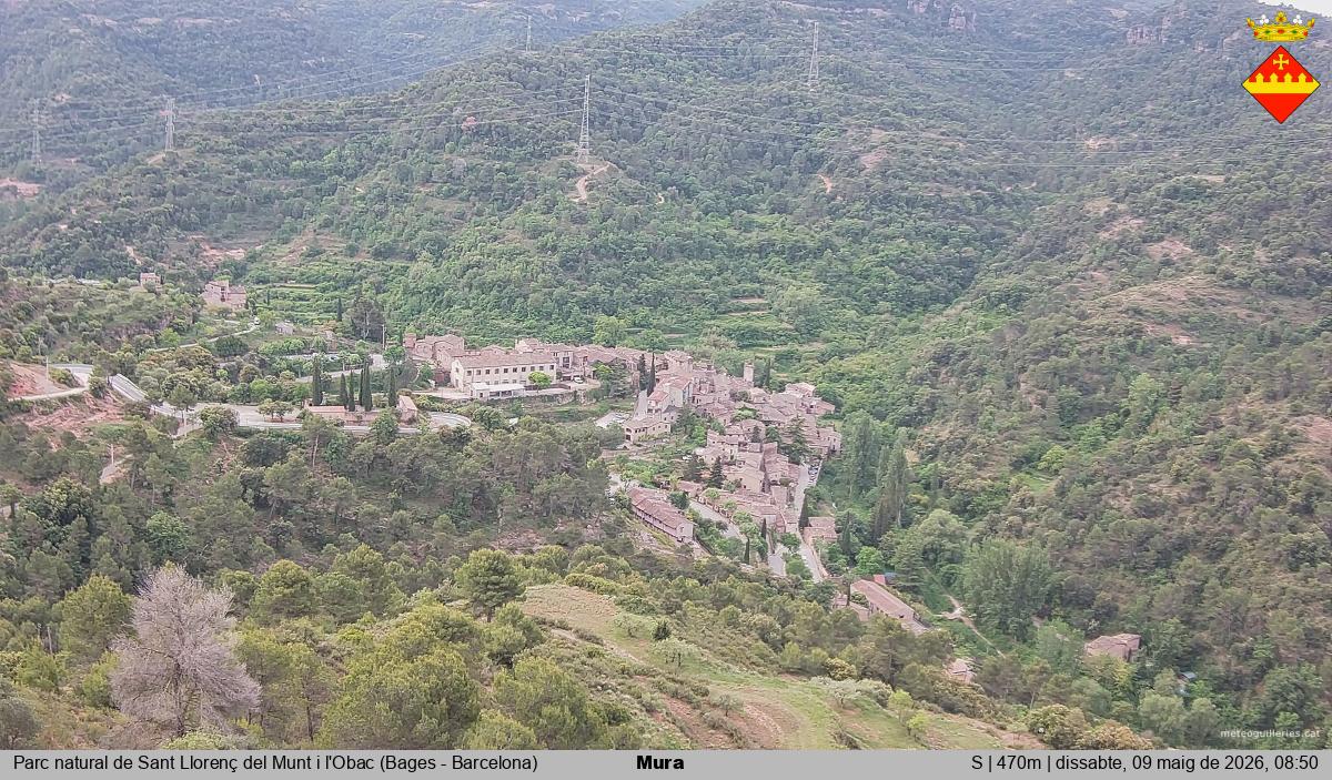 Mura 