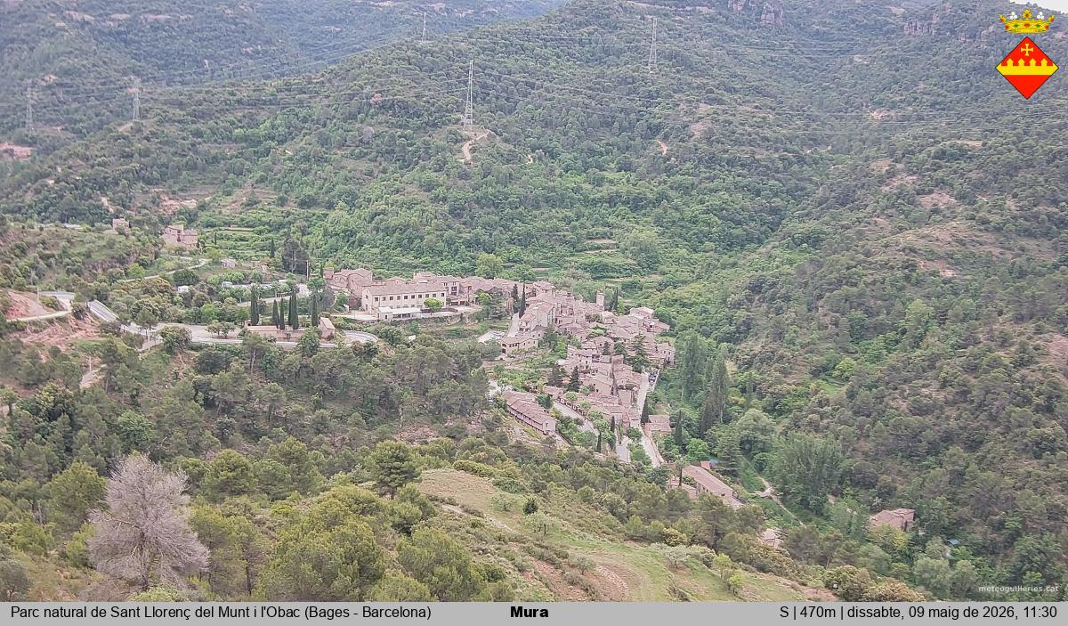 Mura 