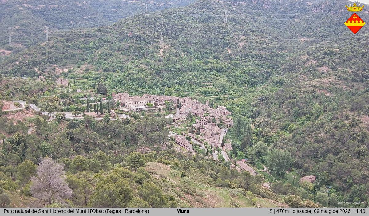 Mura 
