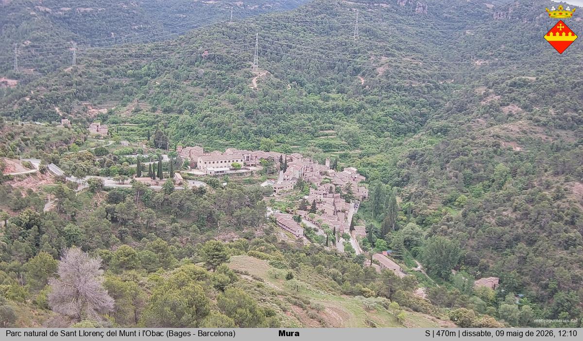 Mura 