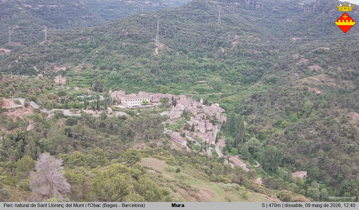 Mura 