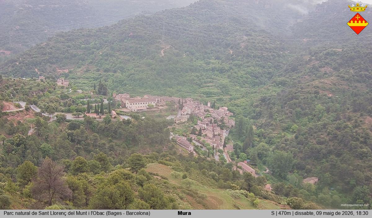 Mura 