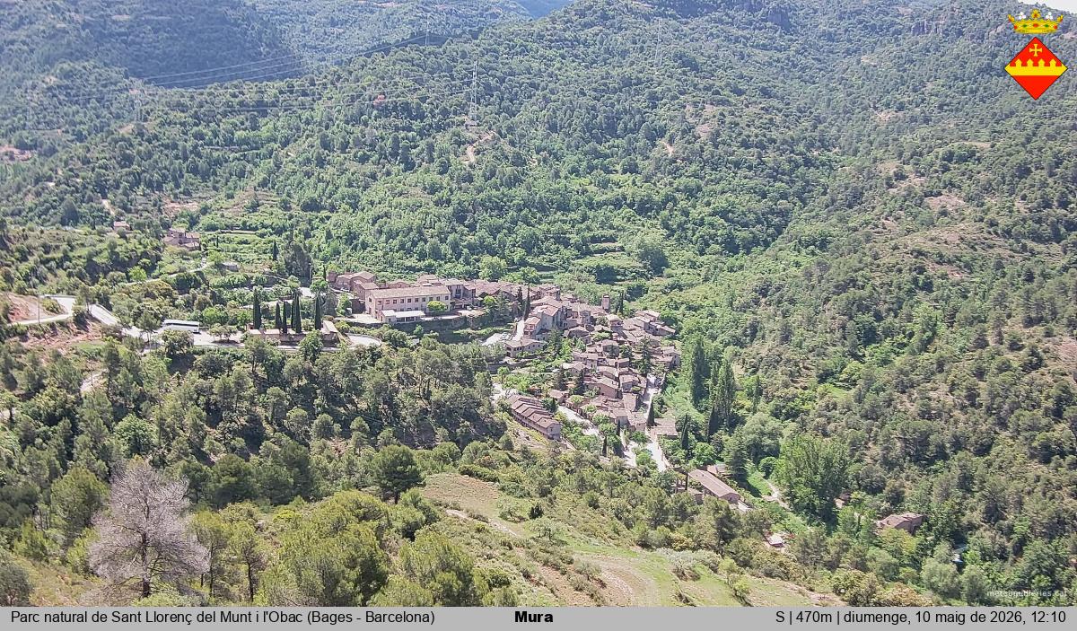 Mura 