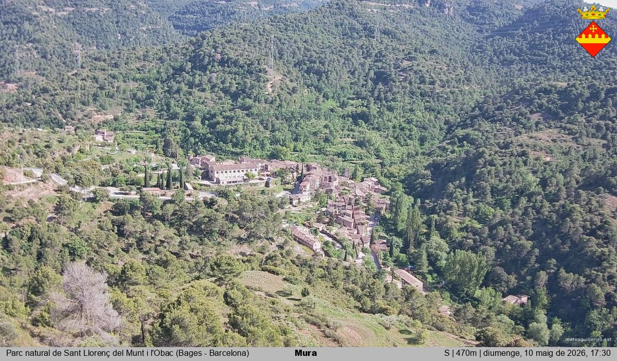 Mura 