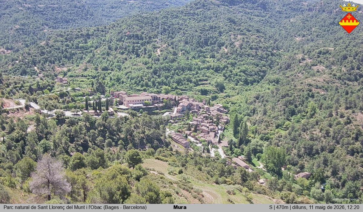 Mura 