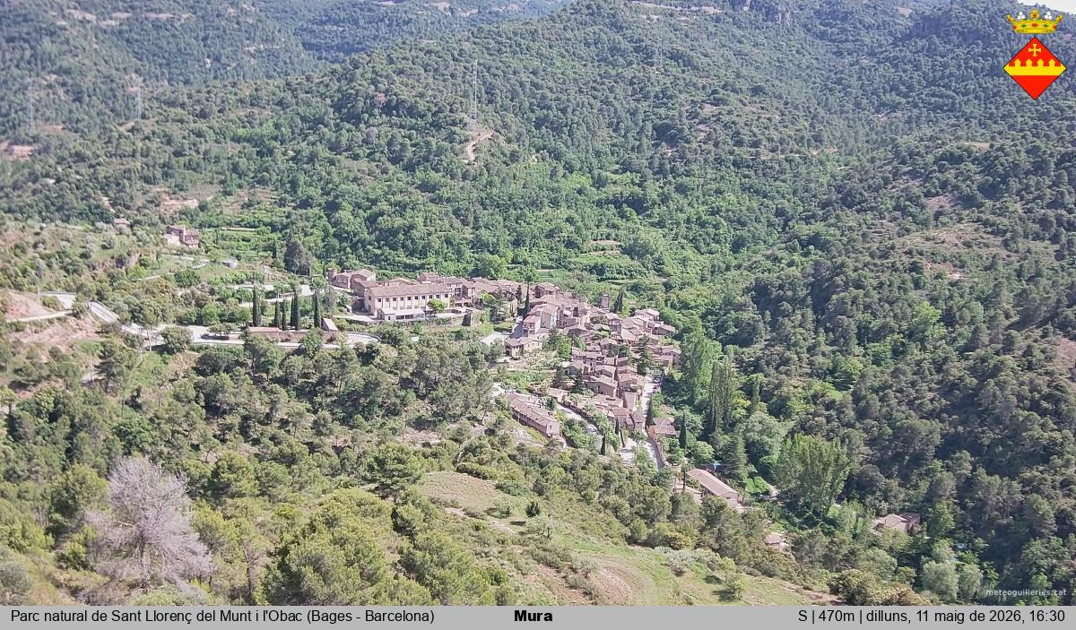 Mura 