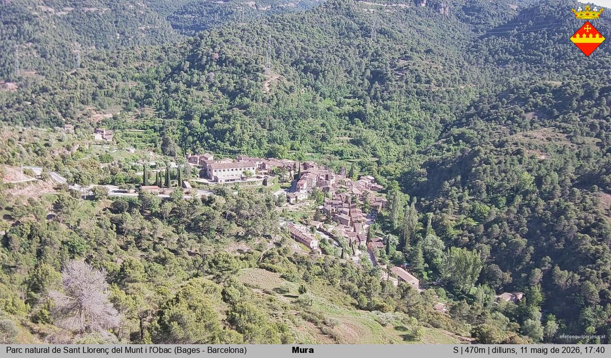 Mura 