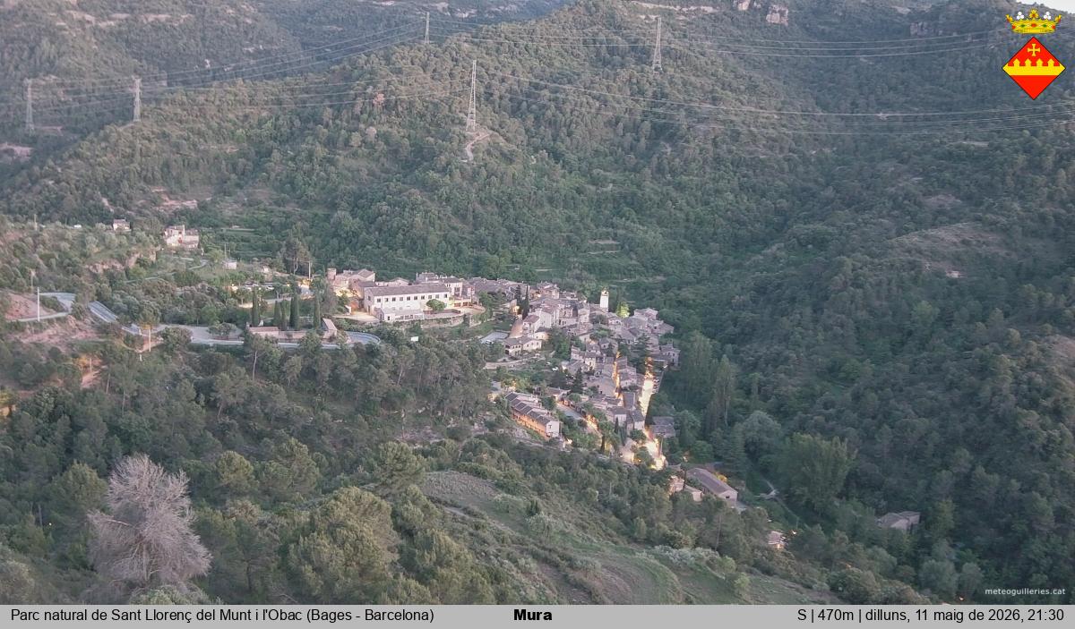Mura 