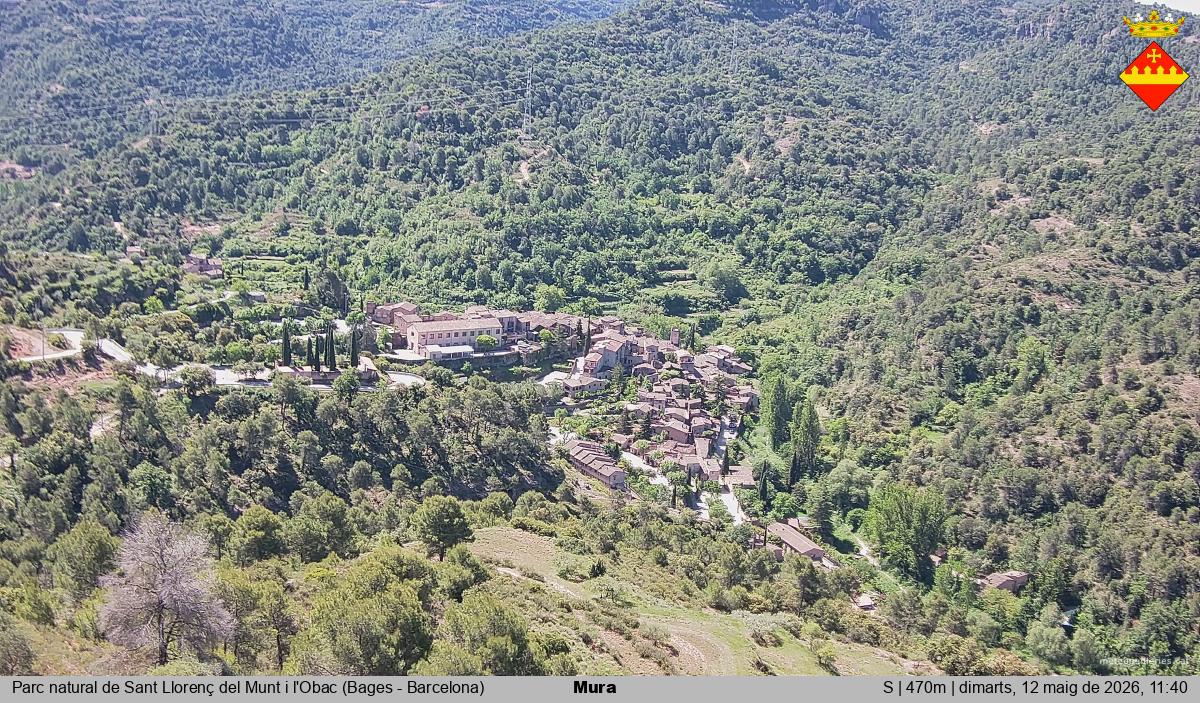 Mura 