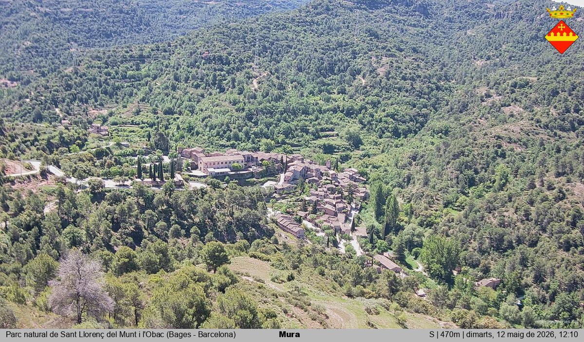 Mura 