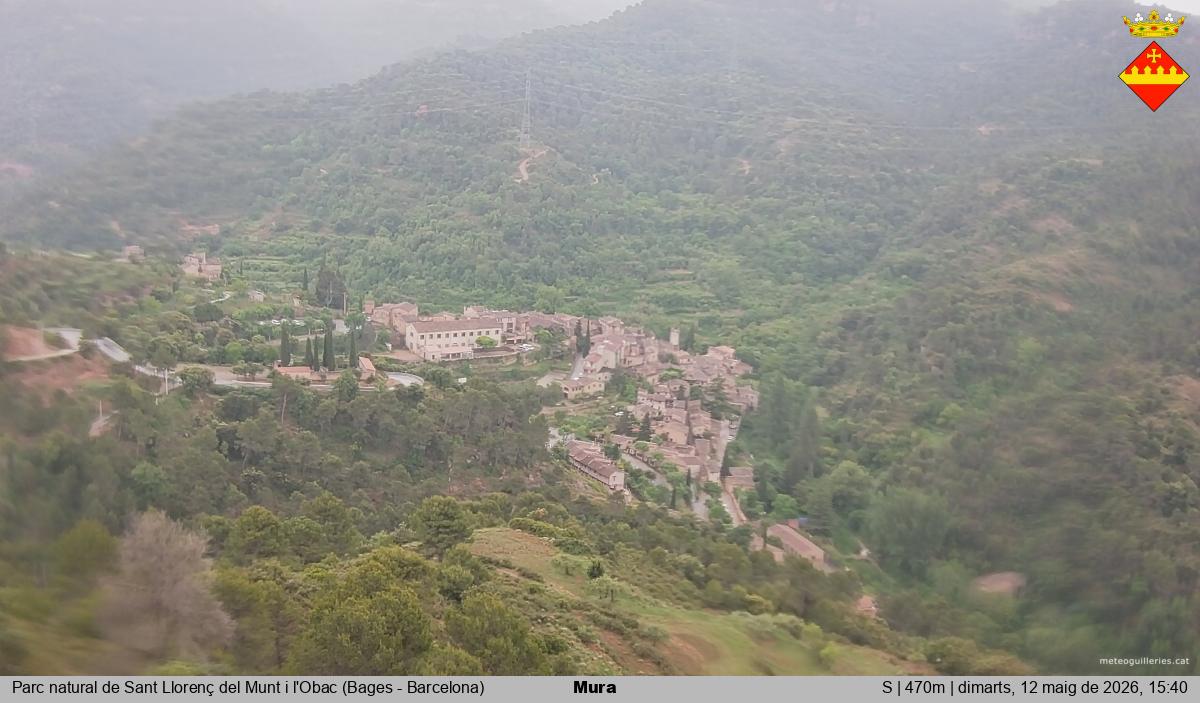 Mura 