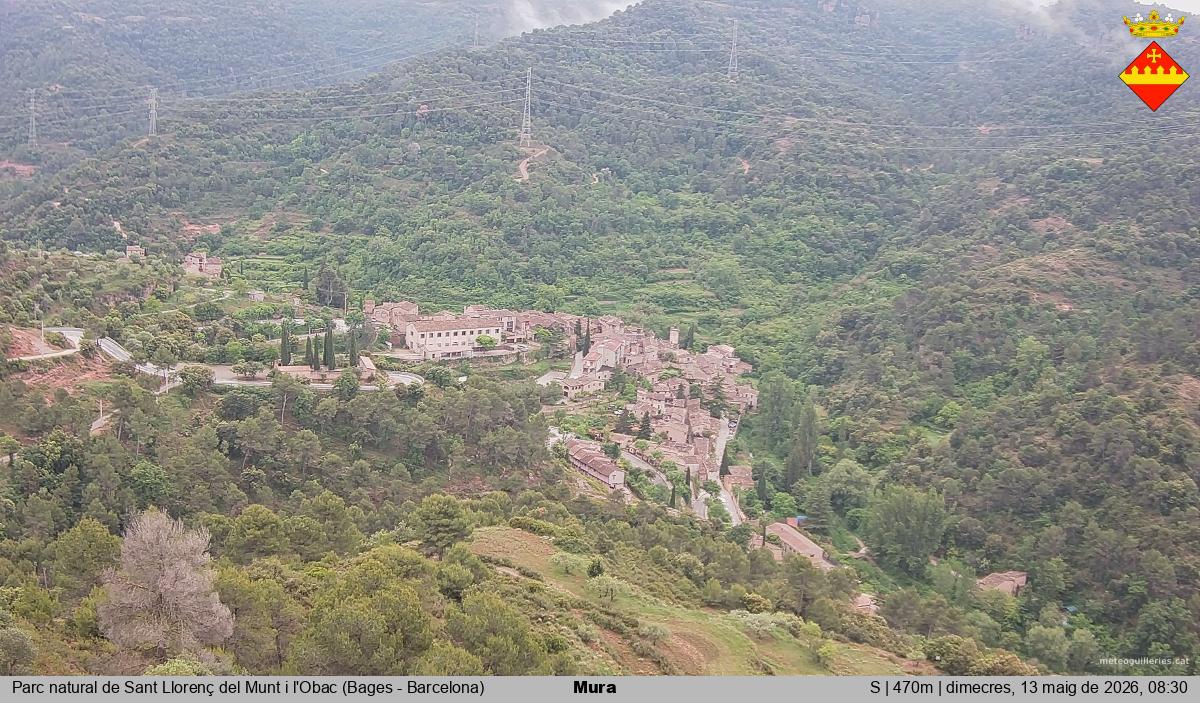 Mura 