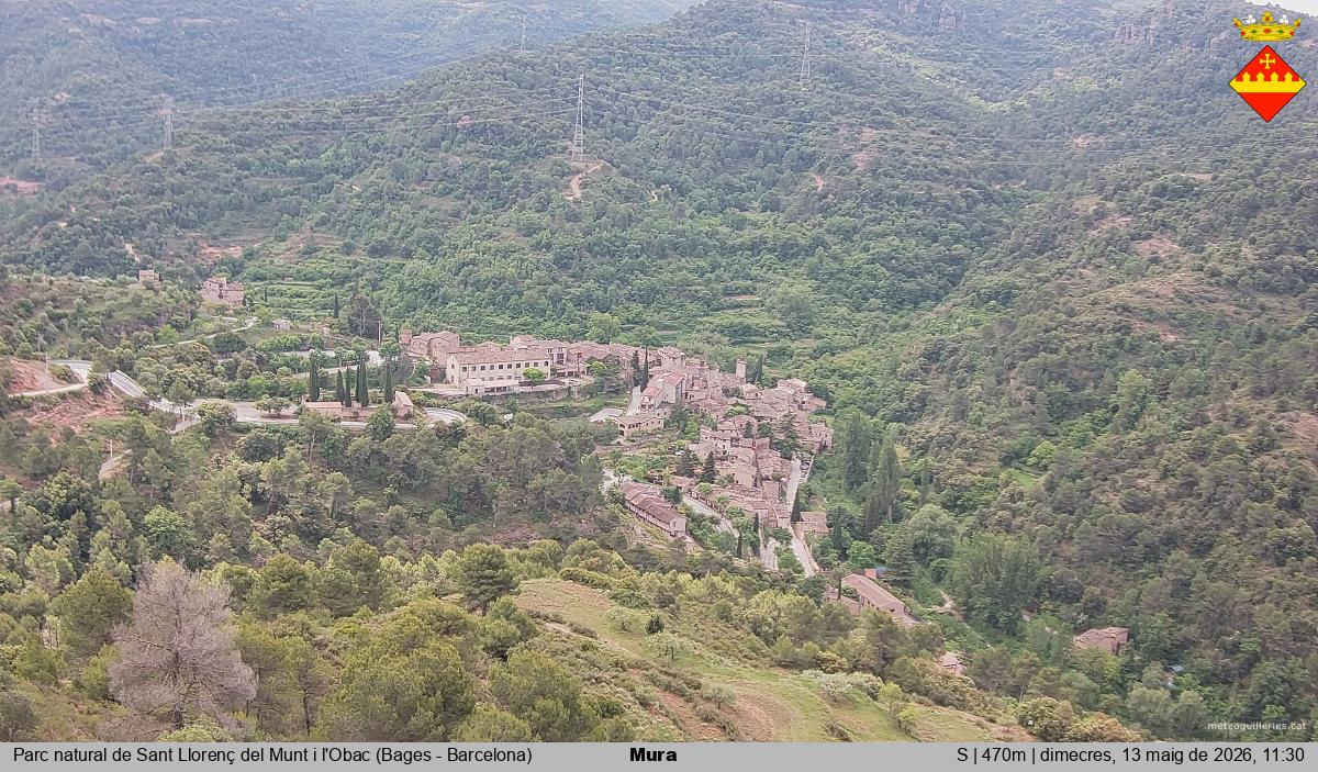 Mura 