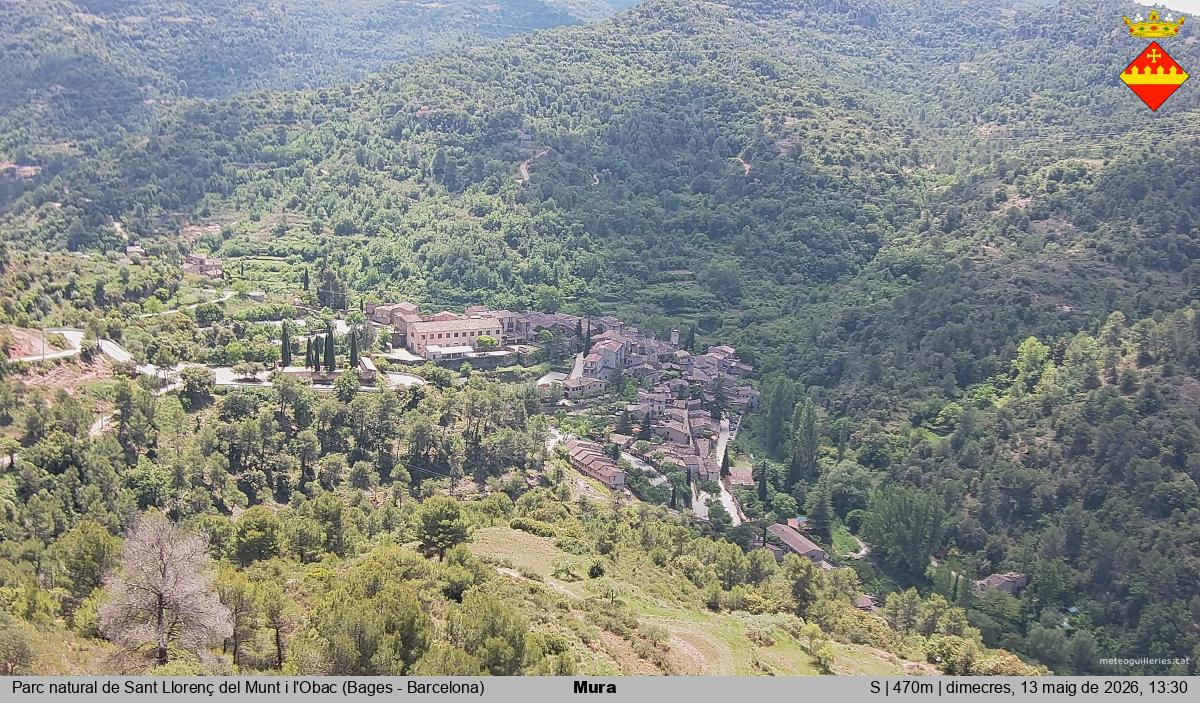 Mura 