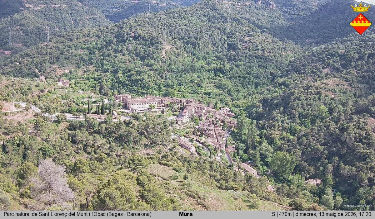 Mura 