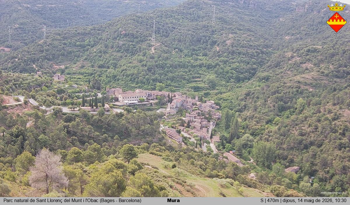 Mura 