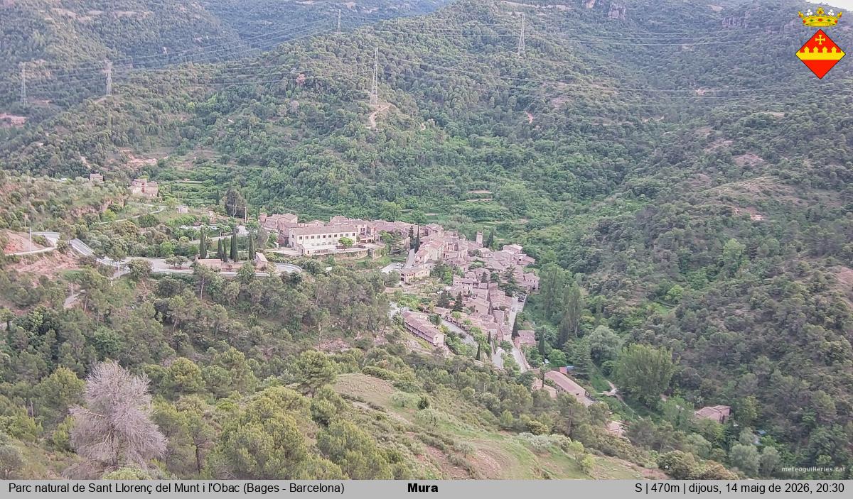 Mura 