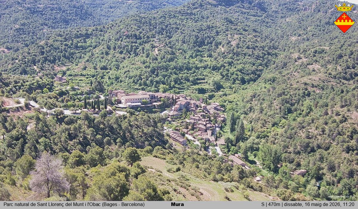 Mura 