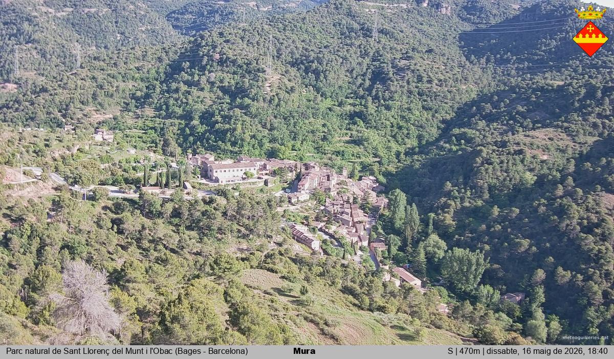 Mura 