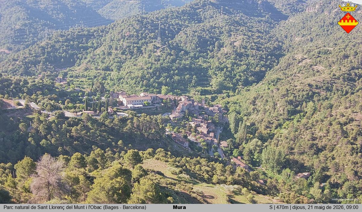 Mura 
