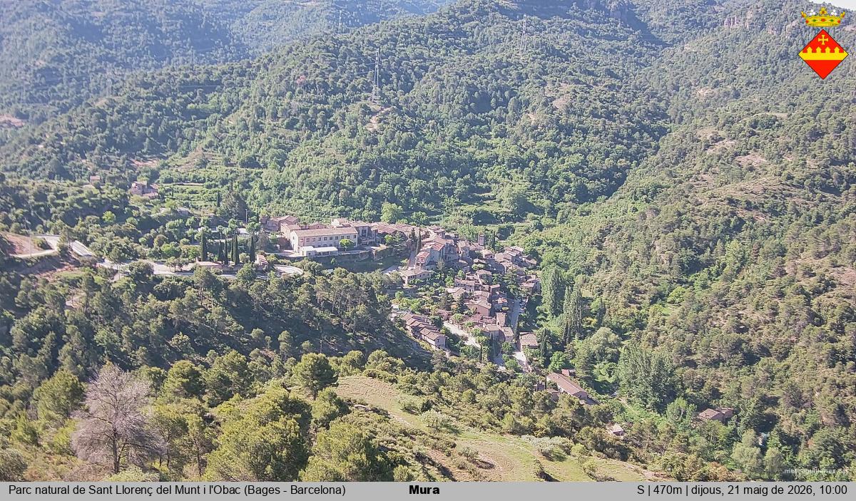 Mura 